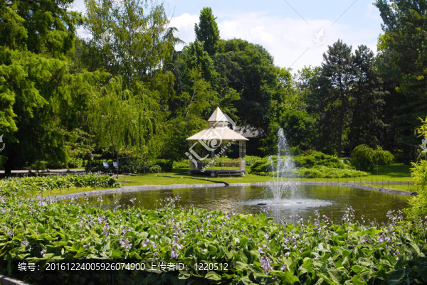 夏天的公園場(chǎng)景