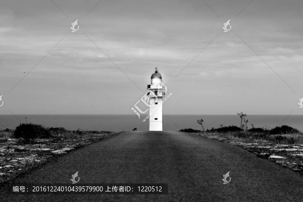 野蠻的燈塔的福門特拉島公路