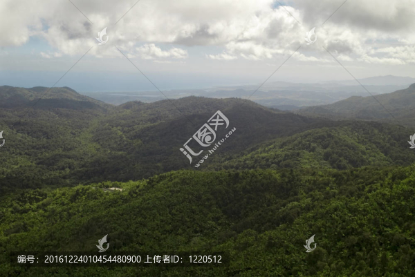 云雀對加勒比海洋