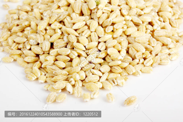原Perl大麥分離