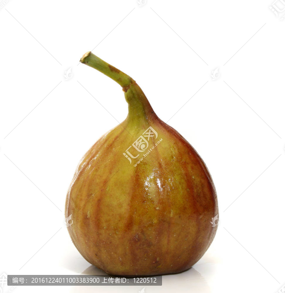 美味的無花果分離