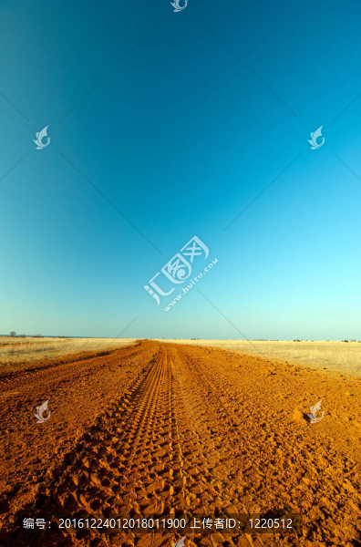 有胎面痕跡的道路