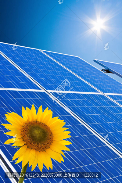 替代太陽能。太陽能發(fā)電廠