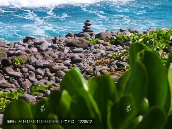 海灘上的一堆石頭