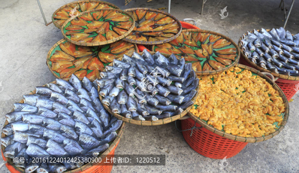 干魚