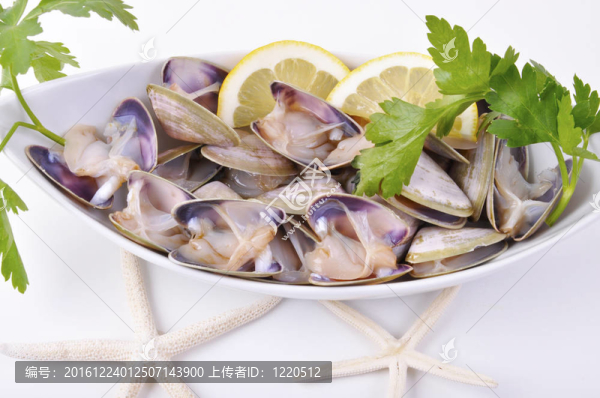 船上的鮮魚