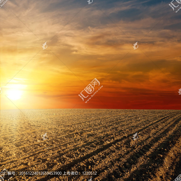 紅色的夕陽在犁過的農(nóng)田