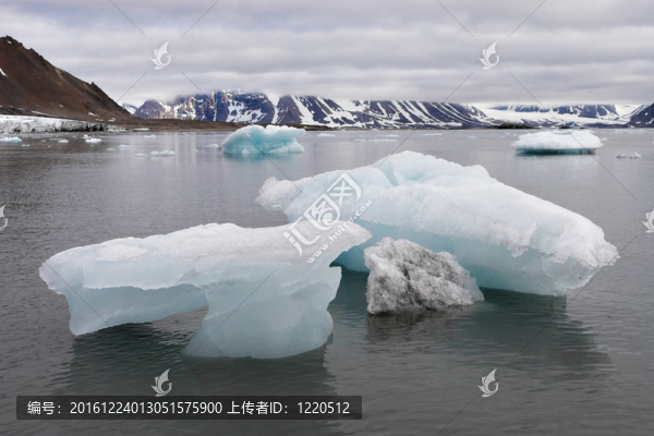 北極夏季景觀