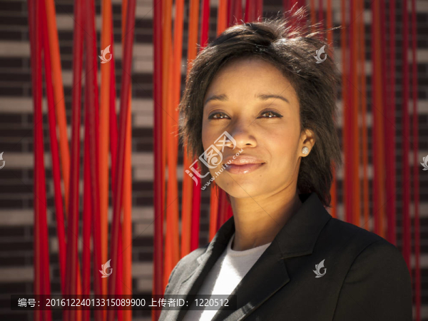 現(xiàn)代職業(yè)女性