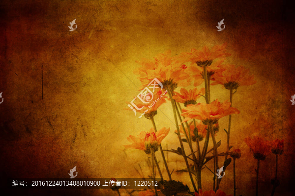 在垃圾的羊皮紙風(fēng)格的花朵