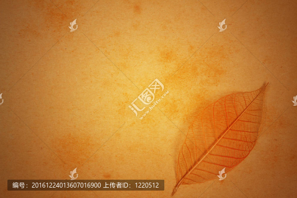 摘要背景