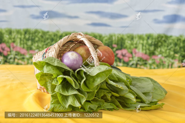 新鮮的有機(jī)蔬菜