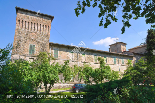 panocchia城堡。Emilia,Romagna。意大利.