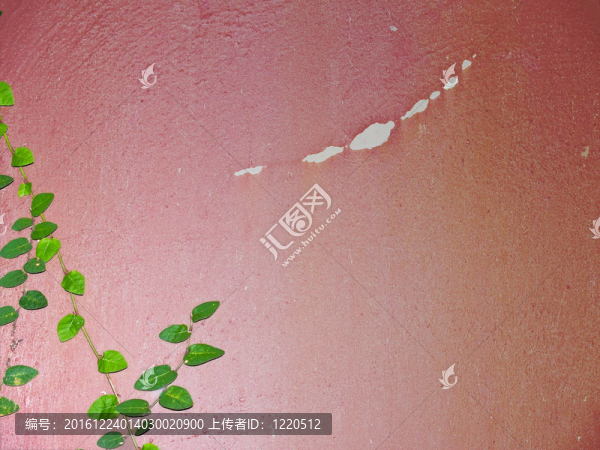 登山者