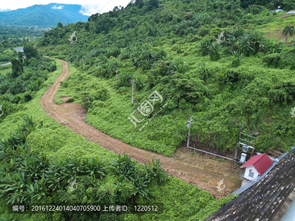坤丹府姜壩