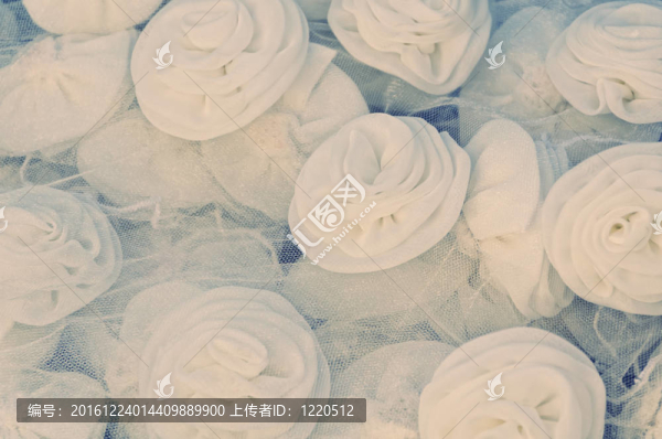 白玫瑰