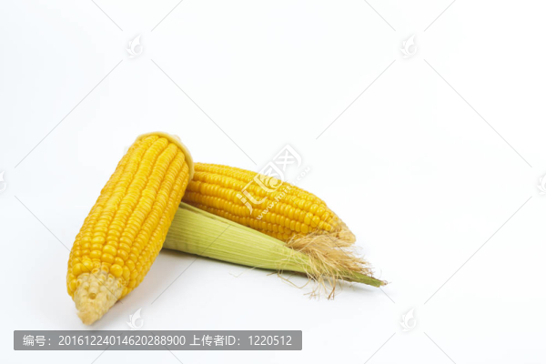 煮玉米。脫離背景。