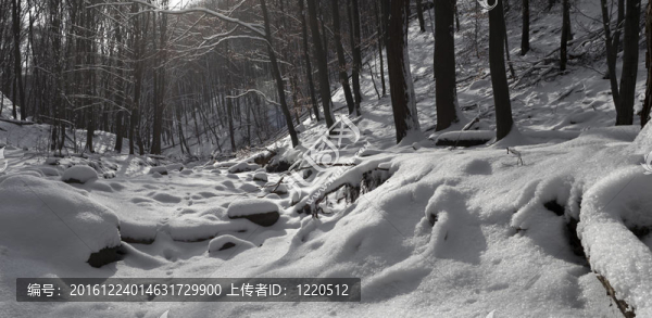 下雪了