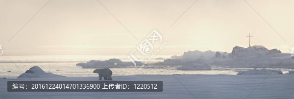北極熊-北極全景