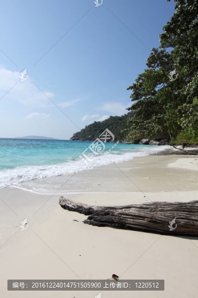 在斯米蘭群島海灘