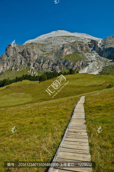 在草甸和山地白云巖的天橋
