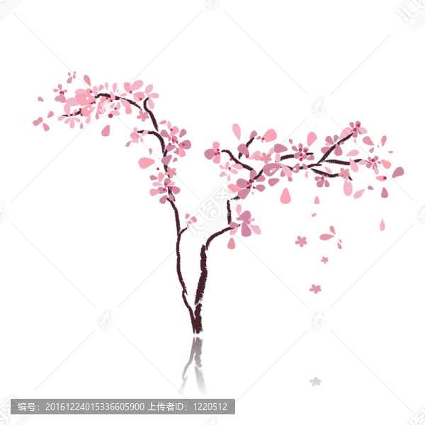 櫻桃樹(shù)