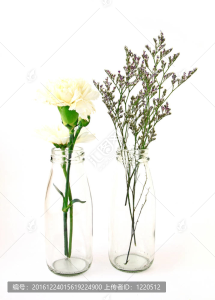 白色背景瓶中的花