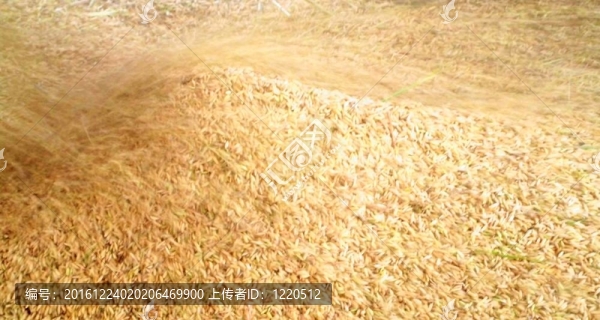 糧食磨粒爆裂