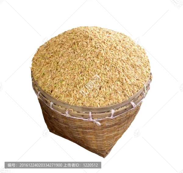 籃子里的米粒