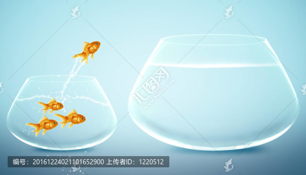金魚跳到大碗里