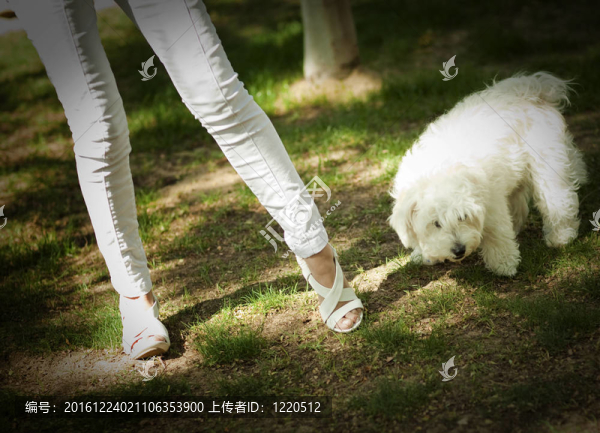 帶狗的女人腿
