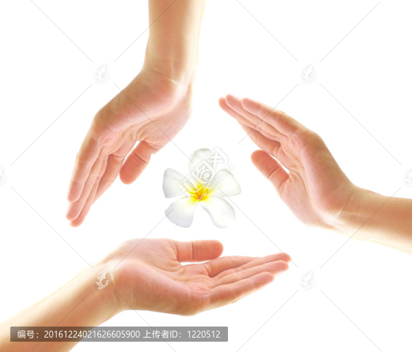 在溫泉概念雞蛋花女的手