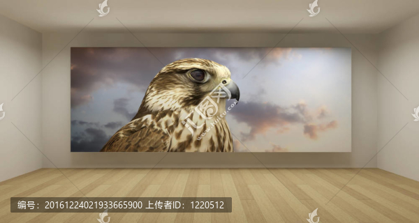 空房間與獵鷹圖片；3D藝術(shù)概念；潔凈空間