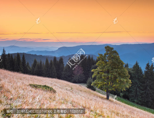 山地景觀