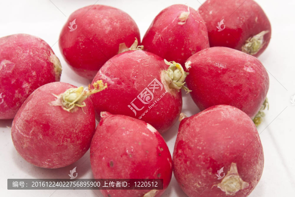 小蘿卜