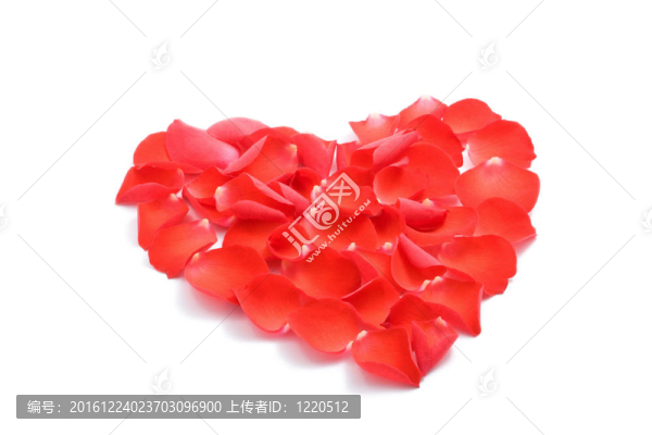 玫瑰花瓣心形