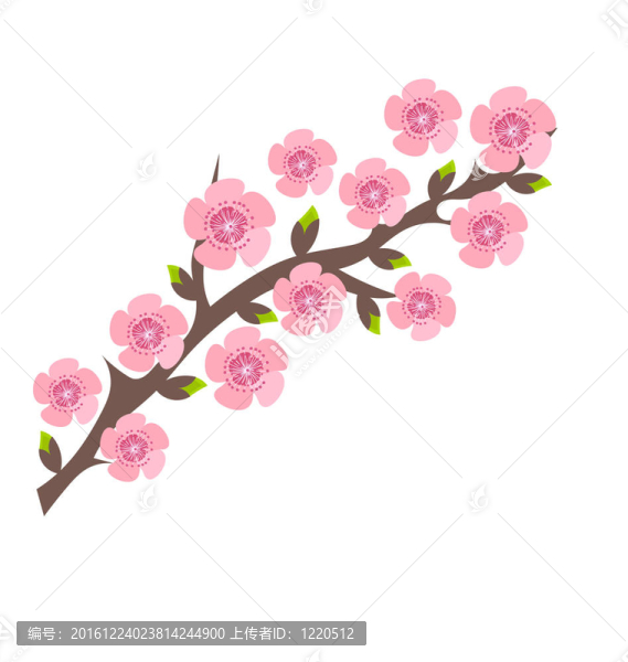 櫻花