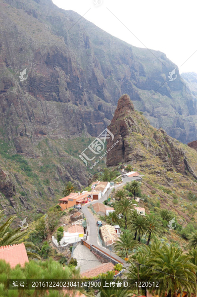 在泰德火山村；特內(nèi)里費(fèi)島；西班牙