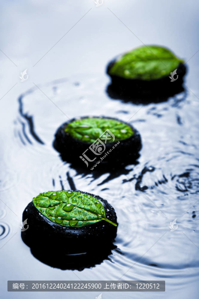 藍(lán)色的石頭和樹葉