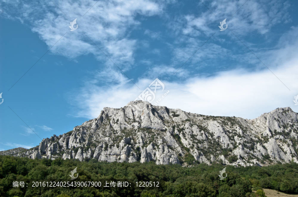 山