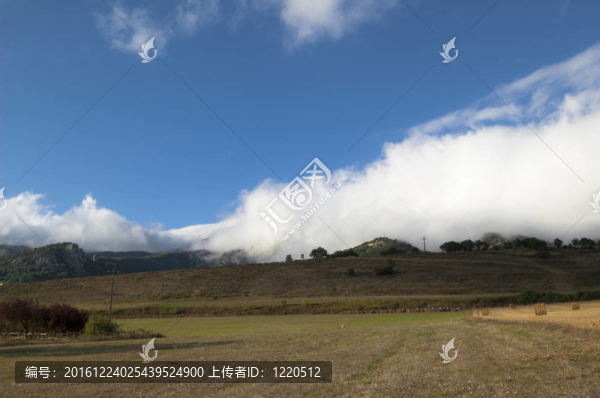 山