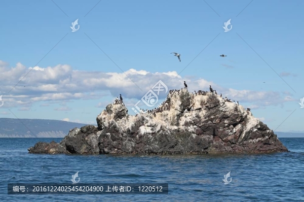 海鷗島的陽光