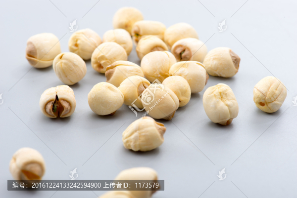 蓮子,蓮心,藥材,食材,九蓮子