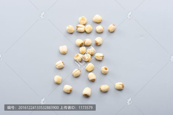蓮子
