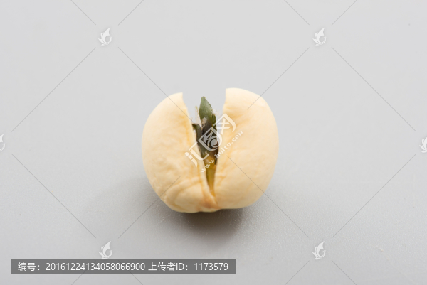 蓮子蓮心特寫(xiě)