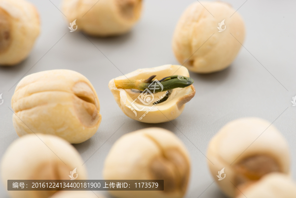 蓮子蓮心特寫