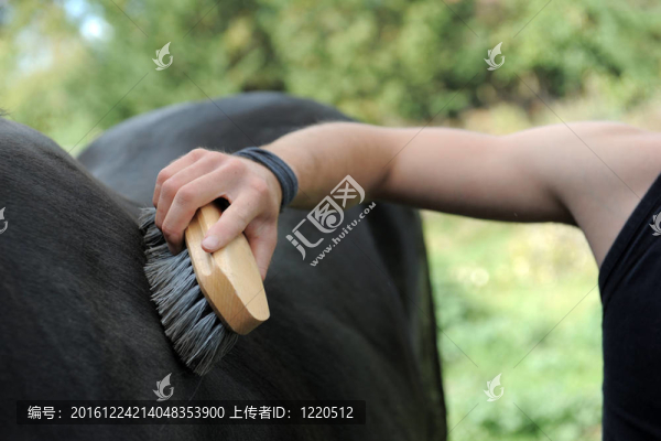 刷馬