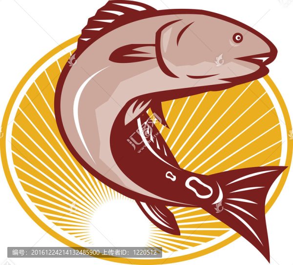 紅鼓斑尾鱸魚魚復(fù)古