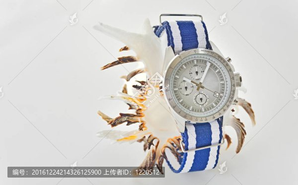 手表殼