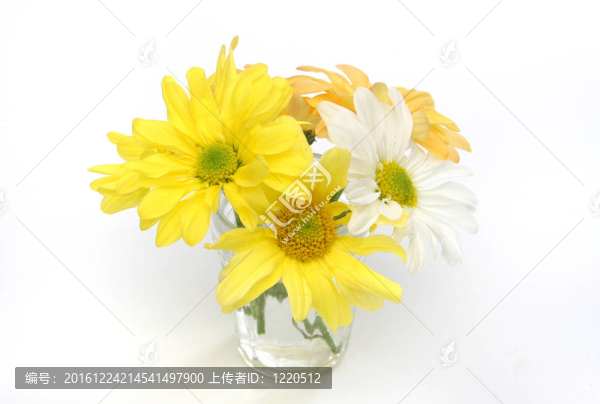 玻璃花瓶中的花群